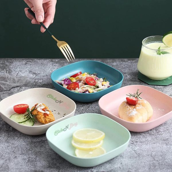 1 Dumpling Maker & 10 Pcs Of Serving Plate Set